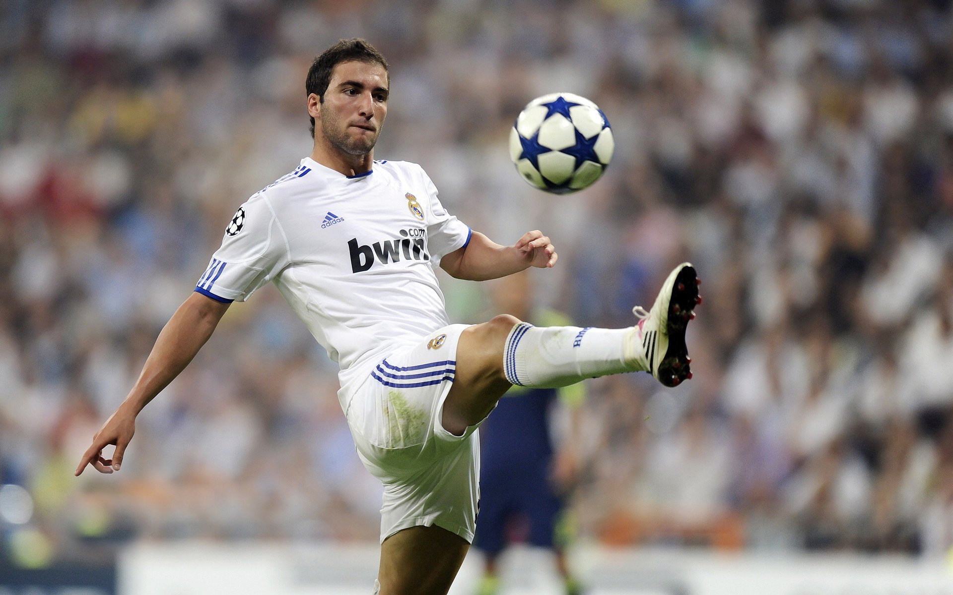 篮球赛季精彩赛事总结